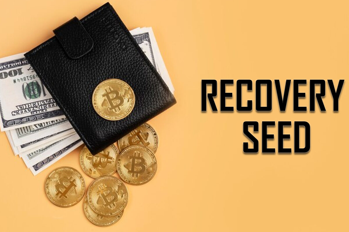 Recovery Seed – A Cryptographic Code Securing Your Crypto Wallet