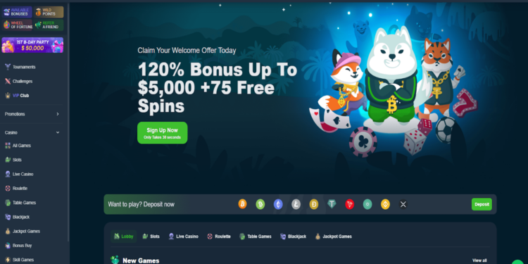 Maximizing Your Gaming Experience with Wild.io Casino’s Exclusive Bonuses