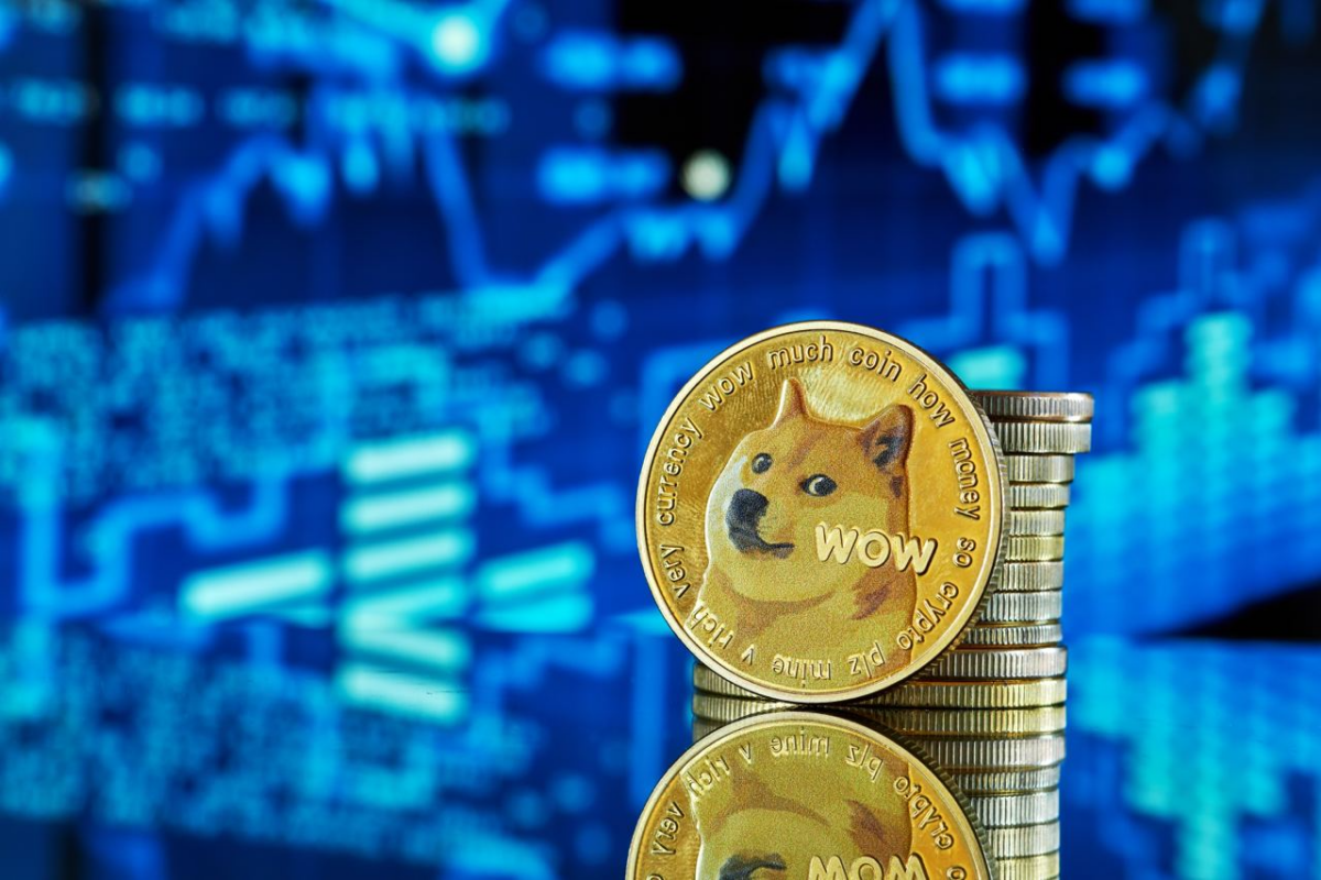 Dogecoin Millionaire Buys into the Pushd Presale While Shiba Inu Drops