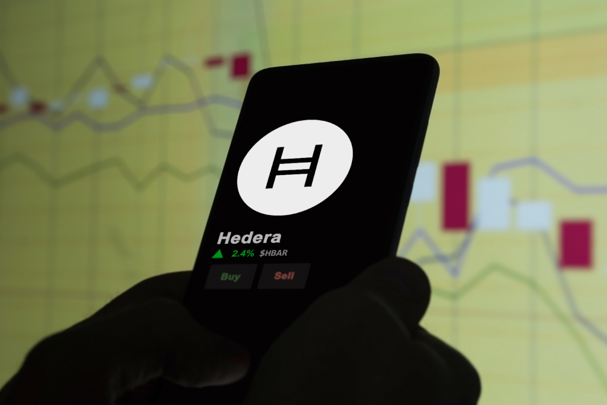 Can Hedera and Arbitrum Keep Up with Pushd This Quarter? Analysts Rumor 50X Gains