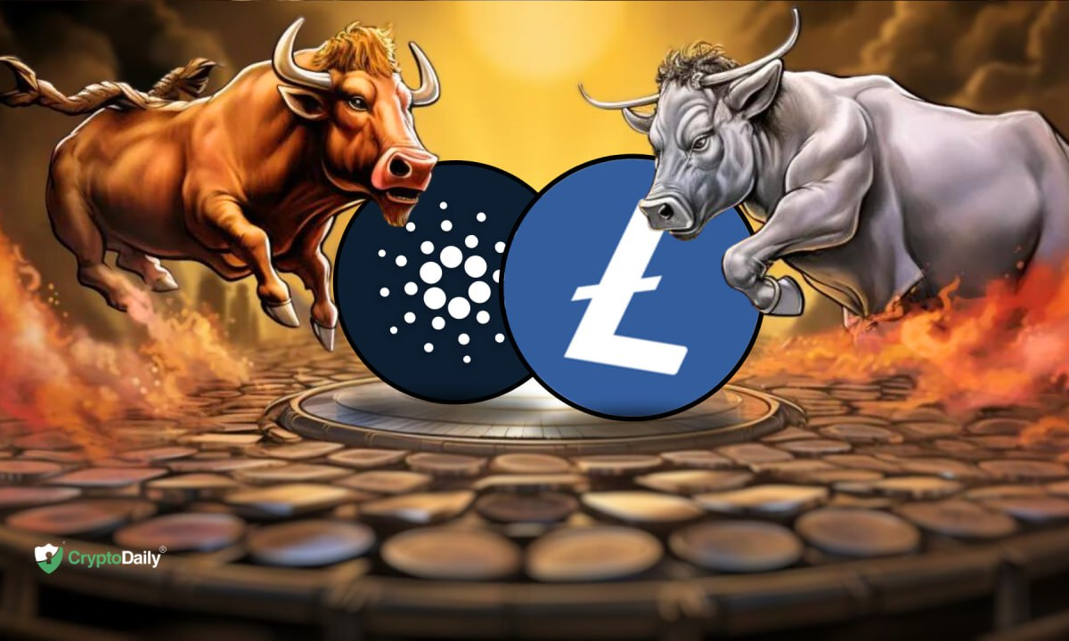 Raffle Coin Eyes a 50X Leap, Attracting LTC and ADA Enthusiasts for Better Profit